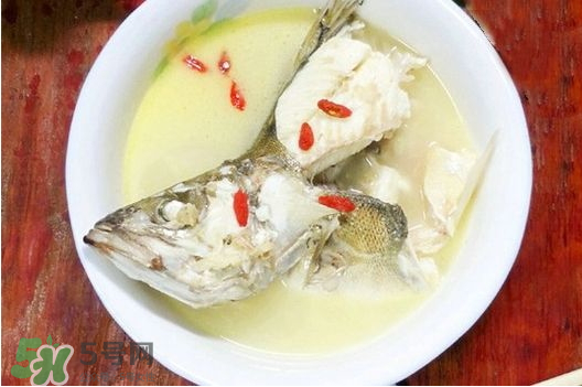 鯉魚湯怎么做好吃？鯉魚湯里面可以放什么？