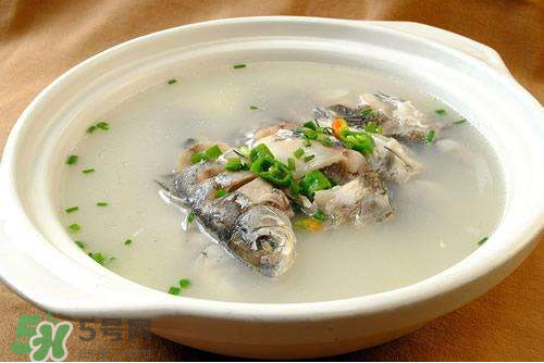 鯽魚湯下奶嗎？鯽魚湯的功效與作用