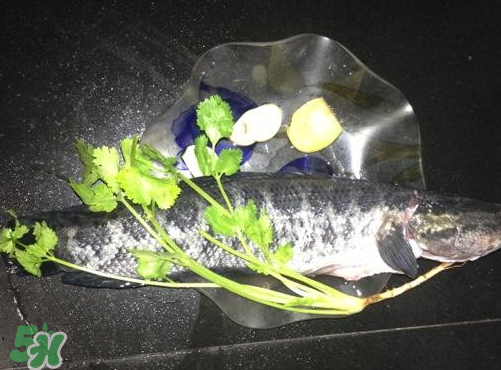 黑魚湯對傷口有好處嗎？黑魚湯的做法術(shù)后恢復(fù)
