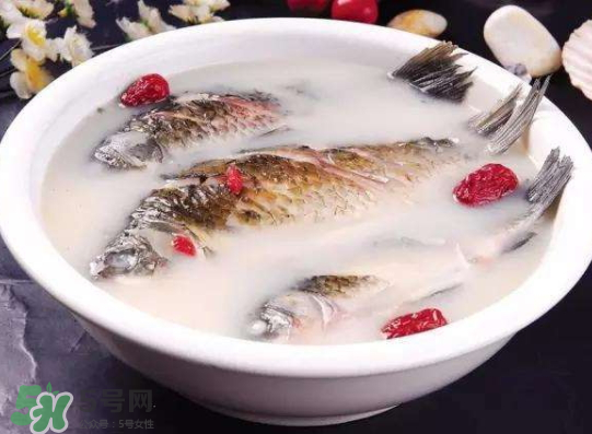 鯽魚湯里可以放什么菜最好？鯽魚燉湯放什么菜？