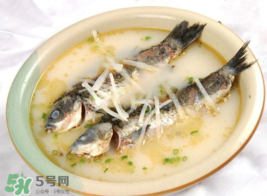 鯽魚湯里可以放什么菜最好？鯽魚燉湯放什么菜？