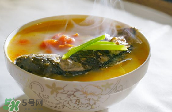 鯽魚湯可以放西紅柿嗎？西紅柿鯽魚湯的功效