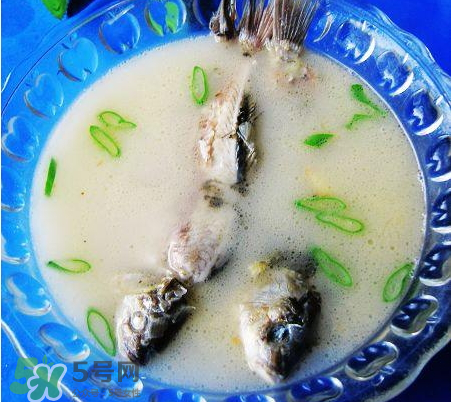 鯽魚湯可以放牛奶嗎？牛奶鯽魚湯的做法