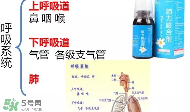 肺力咳合劑多少錢(qián)一瓶？