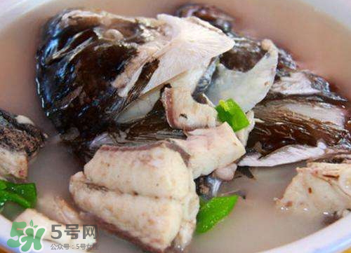 鰱魚(yú)湯怎么熬湯？鰱魚(yú)湯的功效與作用