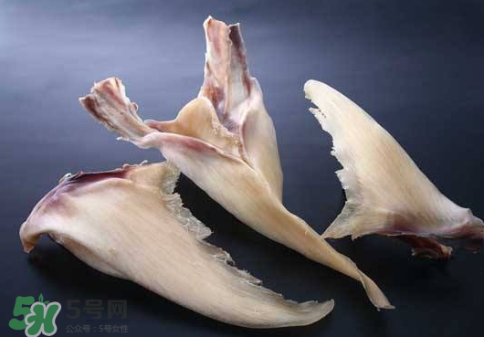 干魚翅怎么保存？魚翅可以放多久？