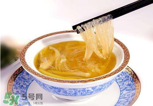 干魚翅怎么保存？魚翅可以放多久？