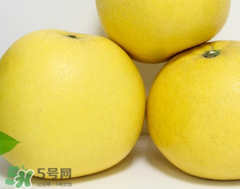 蜜柚是哪個季節(jié)的水果？蜜柚和沙田柚的區(qū)別是什么？
