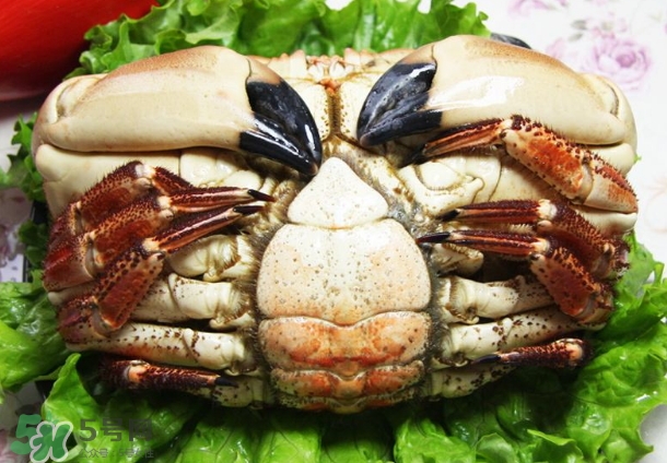 凍螃蟹蒸之前需要解凍嗎？凍螃蟹蒸多長時間？