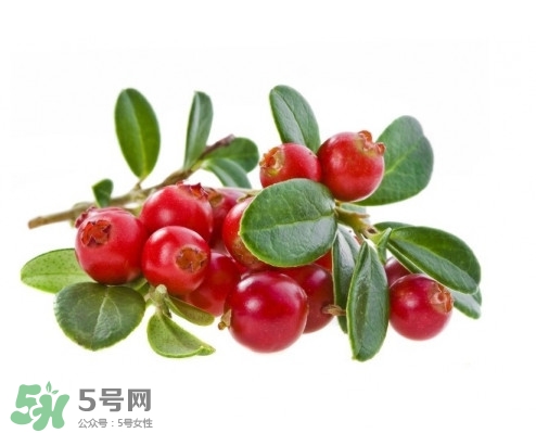 蔓越莓在中國有嗎？蔓越莓怎么辨別真假