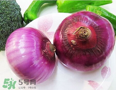 洋蔥狗狗能吃嗎？狗狗吃了洋蔥怎么辦？