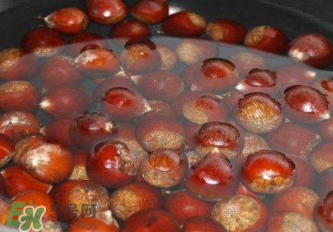 板栗用冷水還是熱水煮？煮板栗用冷水還是熱水？