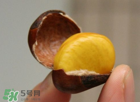 板栗用冷水還是熱水煮？煮板栗用冷水還是熱水？