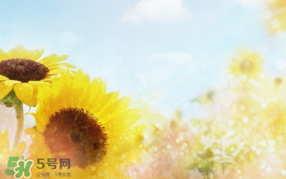 見封滾是什么意思？