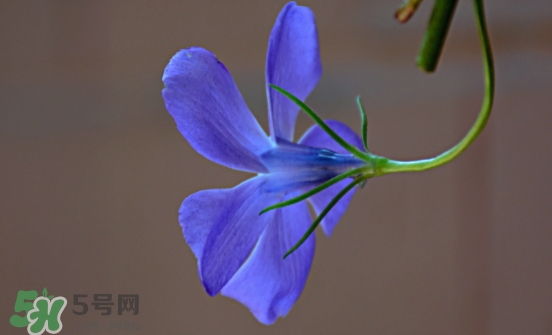 見封滾是什么意思？