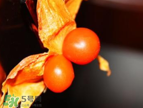 紅姑娘皮泡水治咽炎嗎？紅姑娘皮泡水的副作用