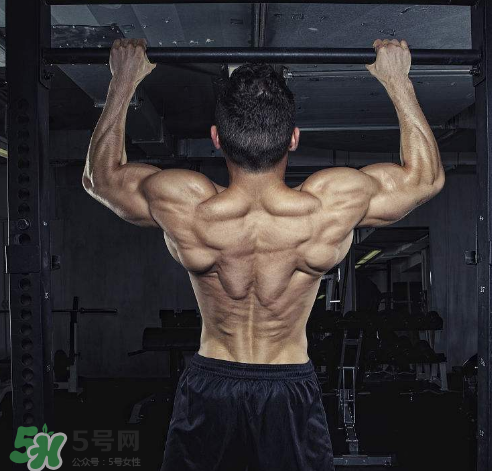 引體向上背部怎么發(fā)力？引體向上發(fā)力技巧
