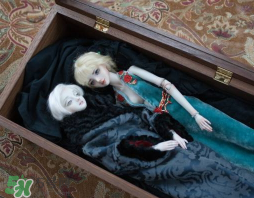 Enchanted Doll多少錢？Enchanted Doll哪里買？