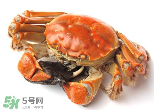 螃蟹里面有寄生蟲嗎？螃蟹有寄生蟲還可以吃嗎？