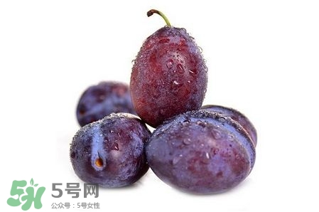 西梅可以放冰箱嗎？西梅放冰箱冷藏還是冷凍？