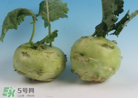 苤藍怎么讀？苤藍孕婦可以吃嗎