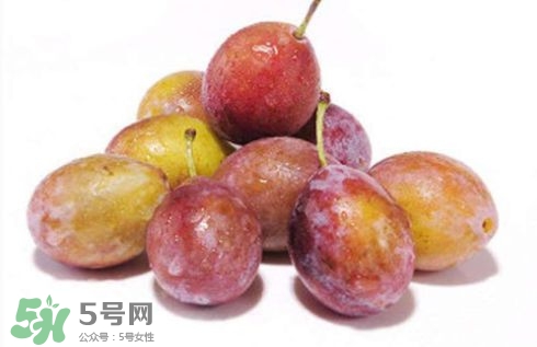 西梅可以放冰箱嗎？西梅放冰箱冷藏還是冷凍？