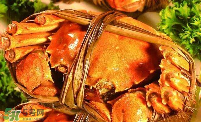 螃蟹吃什么食物長得大？十月份吃什么螃蟹？