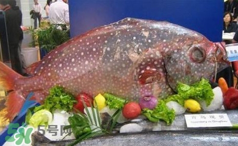 月亮魚是什么魚？月亮魚能吃嗎