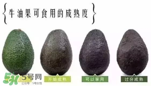 牛油果是什么味道？牛油果是甜的嗎？