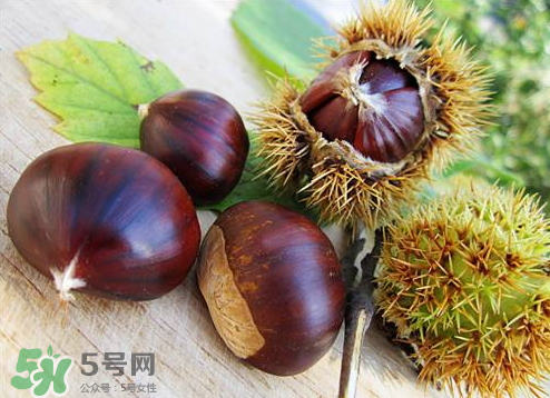 板栗泡酒真的能壯陽嗎？板栗泡酒有什么功效？