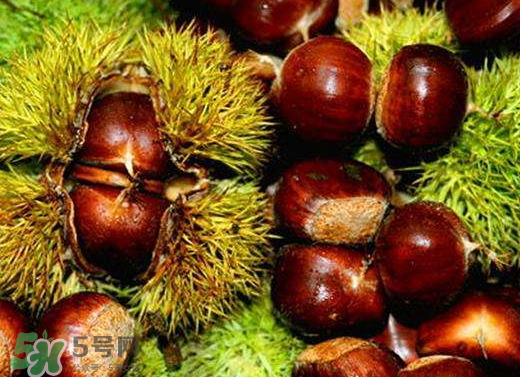 板栗泡酒要去皮嗎？板栗泡酒不去皮可以嗎？