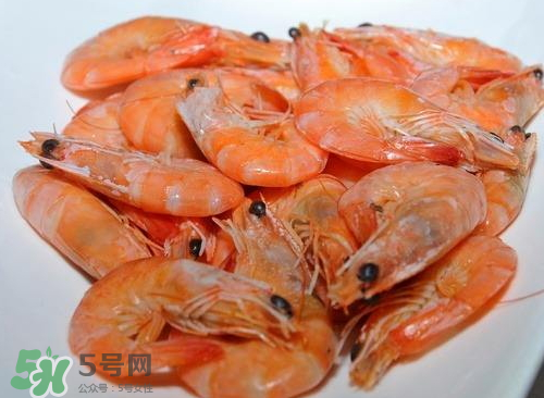 水煮蝦用什么蝦？水煮蝦要放鹽嗎？
