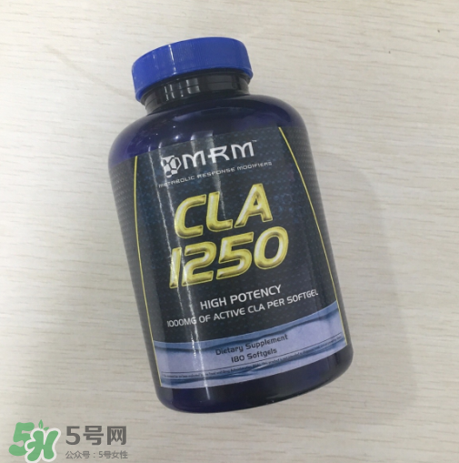 肌酸能和蛋白粉一起吃嗎？肌酸能長期服用嗎？