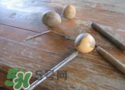 牛油果核能吃嗎？牛油果核怎么種盆栽？