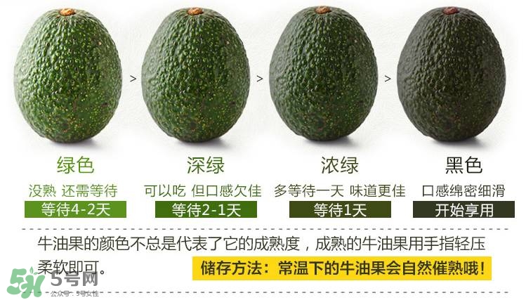 牛油果生的能吃嗎？牛油果怎么催熟快？