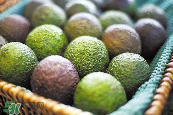 牛油果是熱性還是寒性？牛油果是酸性還是堿性？