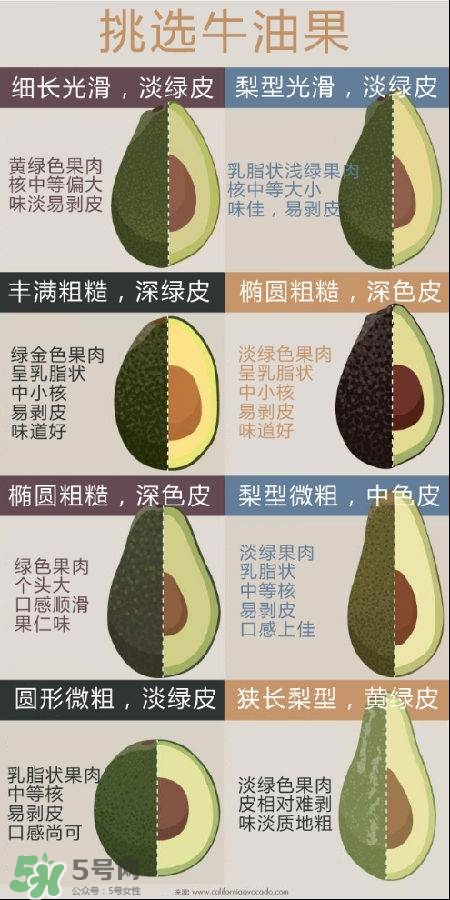牛油果怎么挑選？牛油果多少錢一斤？
