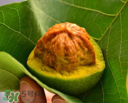 青皮核桃可以冷凍嗎？青皮核桃可以冷藏嗎？