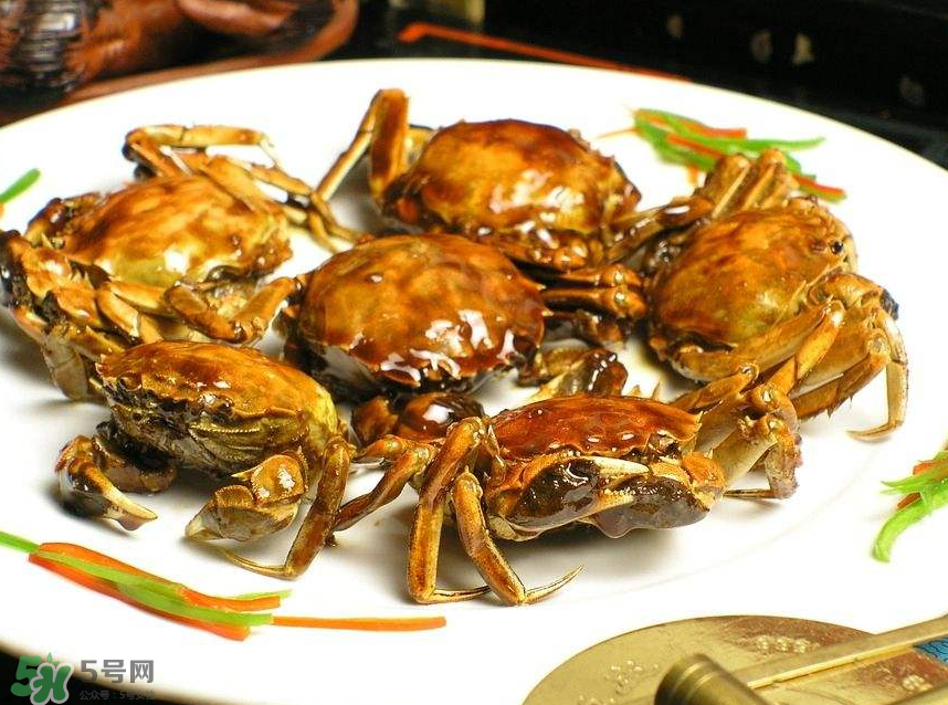 哪種螃蟹肉多？哪種螃蟹最好吃？