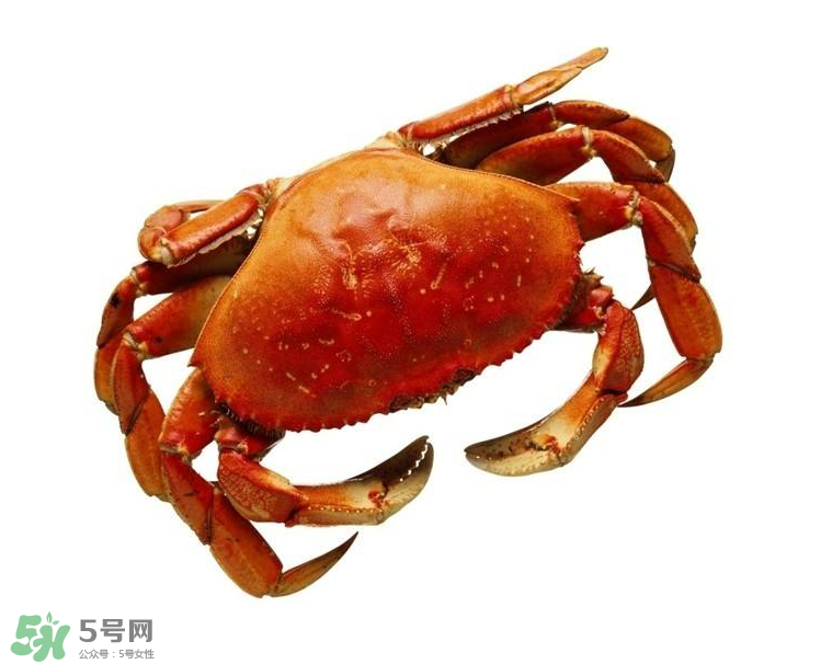 哪種螃蟹不能吃？什么樣的螃蟹不能吃？