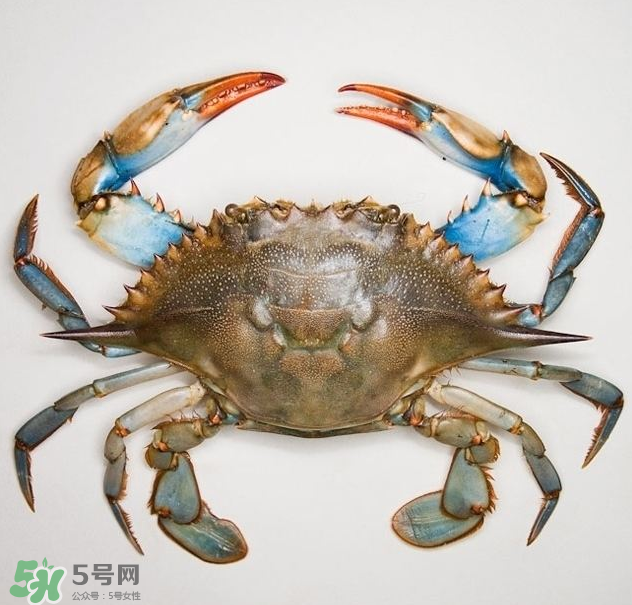 蟹膏是綠色的嗎？蟹膏是黑色的能吃嗎？