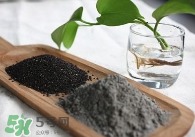核桃粉寶寶可以吃嗎？寶寶幾個(gè)月可以吃？