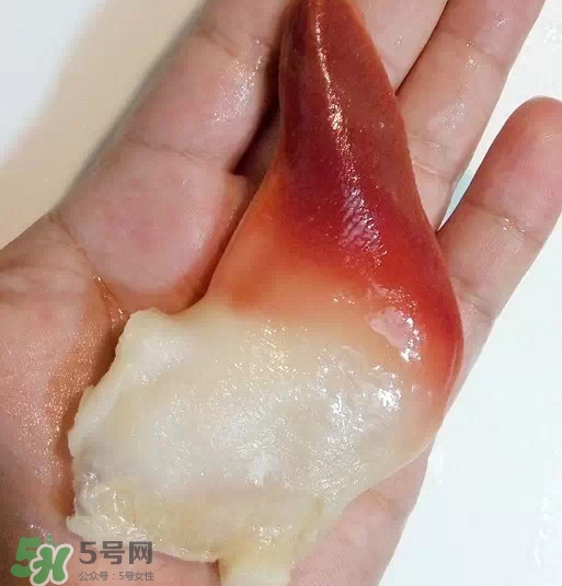 北極貝多少錢(qián)一斤？北極貝長(zhǎng)什么樣子