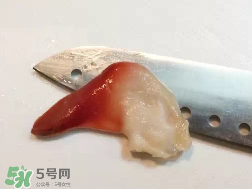 北極貝多少錢(qián)一斤？北極貝長(zhǎng)什么樣子