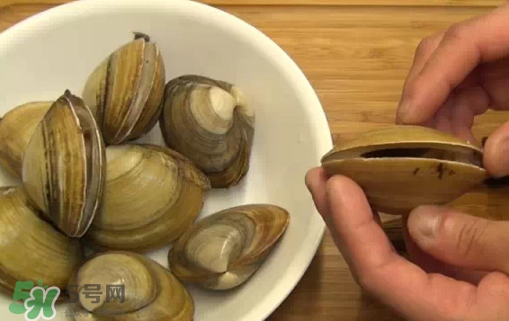 北極貝多少錢(qián)一斤？北極貝長(zhǎng)什么樣子