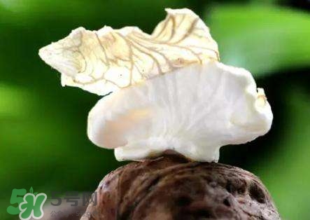 新鮮核桃要剝皮嗎？剝皮時手變黑怎么清洗？