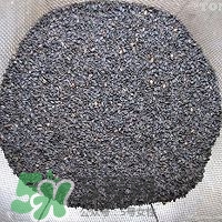 核桃粉怎么做？核桃粉的功效與作用