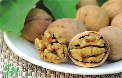 核桃分心木可以煲湯嗎？核桃分心木可以和枸杞泡水嗎？