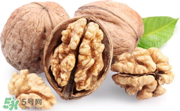 核桃分心木是什么東西？核桃分心木能泡酒喝嗎？