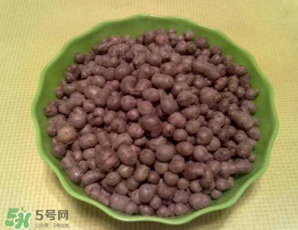 山藥豆是什么東西？山藥豆是長(zhǎng)在土里嗎？